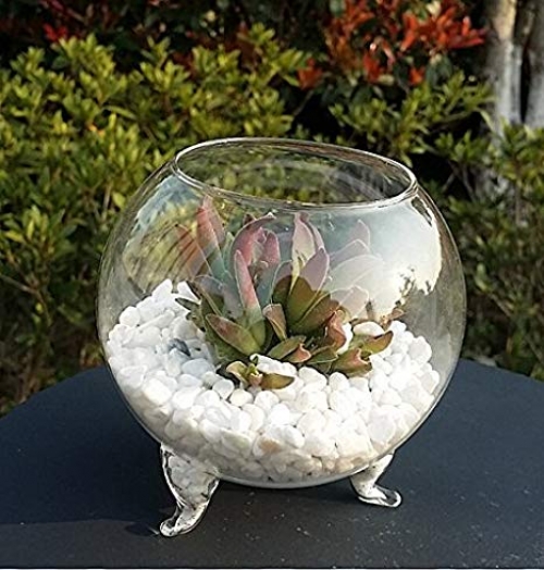 Glass Vase with Legs Modern Party Rental